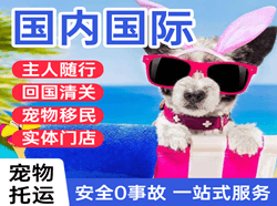 贡嘎空运地址国际宠物托运 【国
